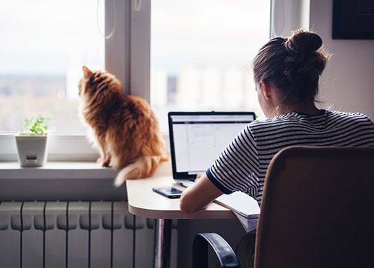 Young woman applying for a loan online from home.