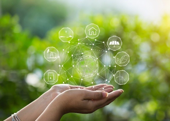 Launching an ESG program in the palm of your hands