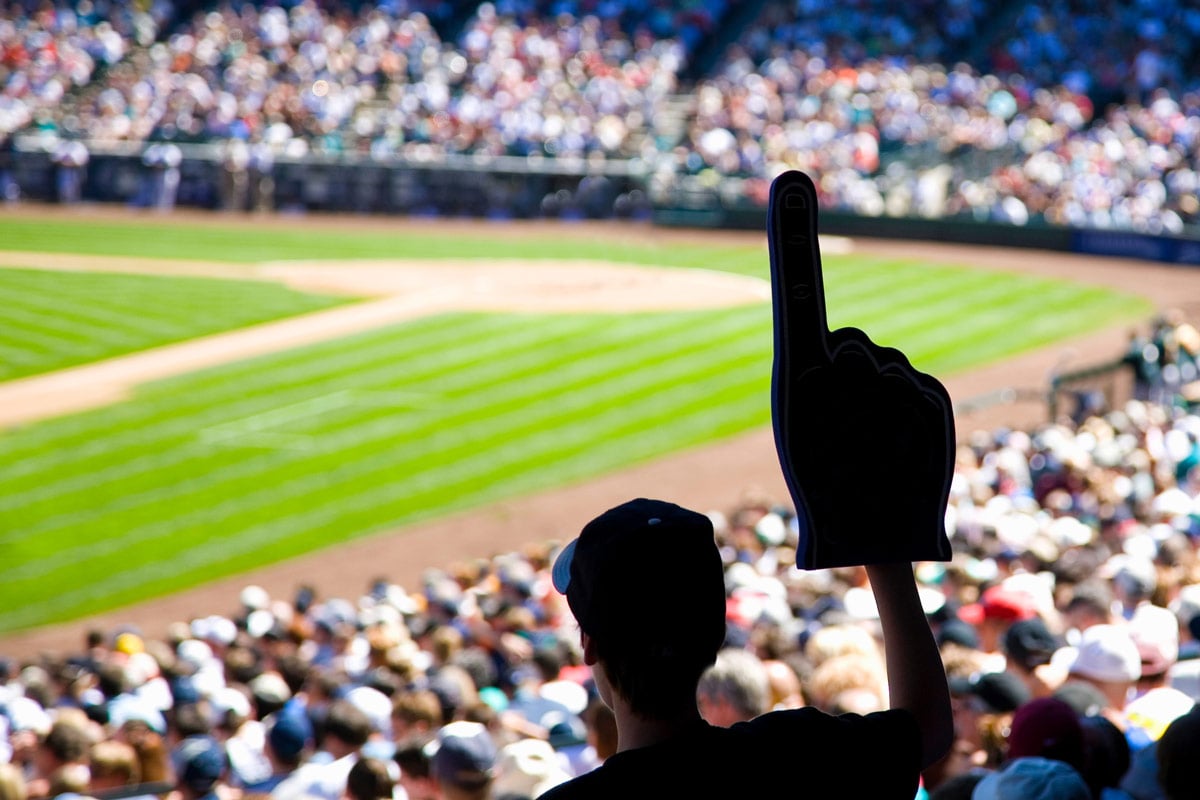 fan at baseball game