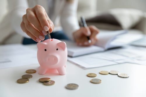 Close-up of an economical young woman managing the company budget. image